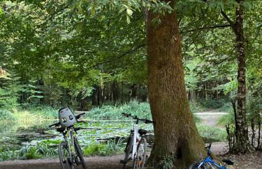 Maison des Sources Touraine -SPA- - Foto 48