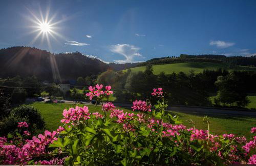 Kornbauernhof - Foto 19