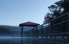 Canto dos Passaros - Foto 9