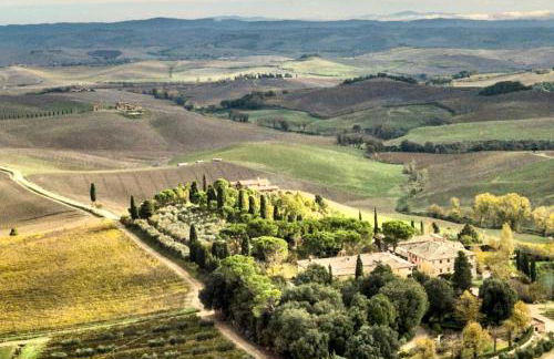 Villa Buonsignori - Wine & Olive Oil Farm - Foto 23