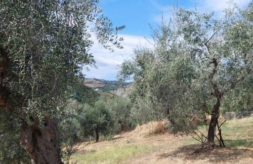 Villa Ferranti Abruzzo - Photo 32