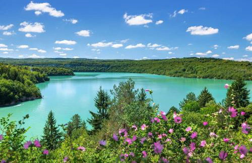 L'Orgelétaine : Grande Maison au milieu des Lacs du Jura - Foto 38