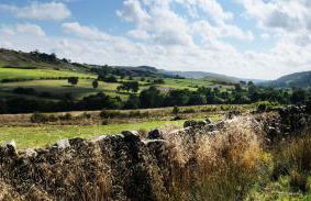 Craven Garth Cottages - Foto 70