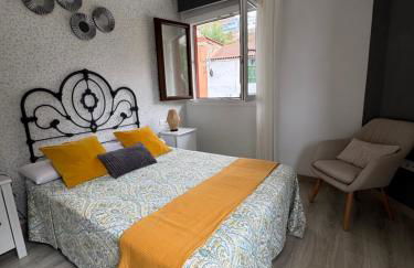 Phoenix Canariensis - Foto 14