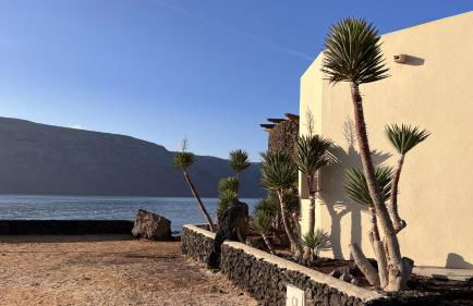 Flor de Cactus, La Graciosa - Foto 14