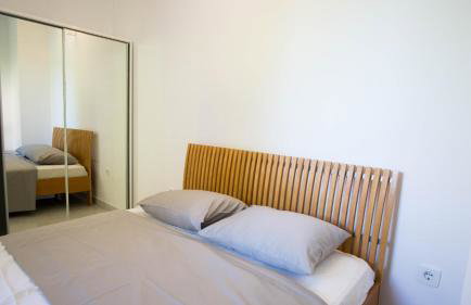 Vila Visnjic - Foto 66