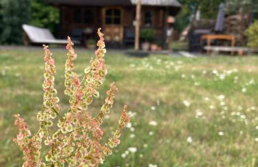 Domek Samice - Foto 60