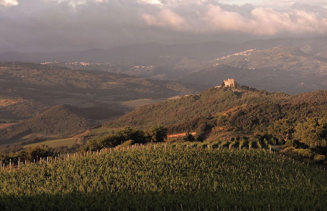 Mastrojanni Relais - Photo 51