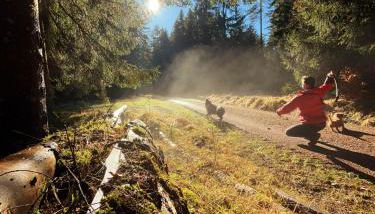 Ferienhaus Robin - Foto 5, pet friendly