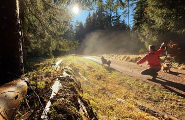 Ferienhaus Robin - Foto 5