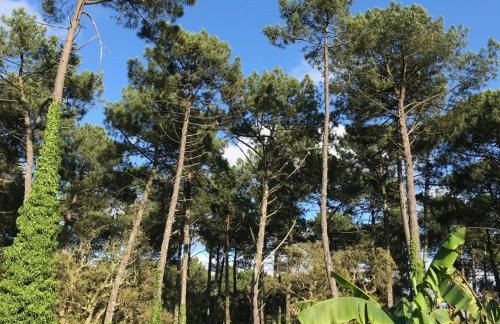 Villa patio terrasse privative océan 10 min a pied - Foto 18