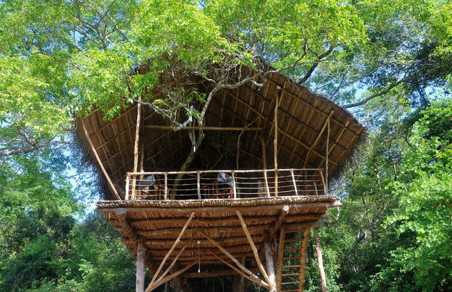 Back of Beyond - Dehigaha Ela - Photo 40