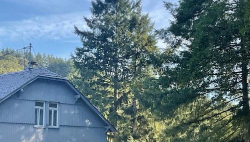 Etzauer Mühle im Taunus - Foto 3