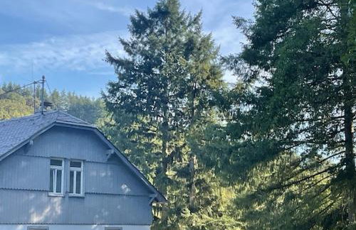 Etzauer Mühle im Taunus - Foto 3