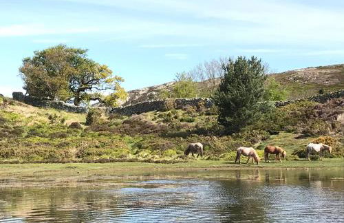 River Cottage - Foto 17