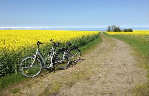Insel-Reetkate auf Fehmarn - Foto 16