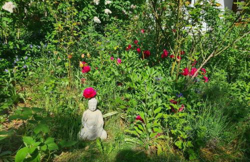Krusenhagen Apartment With Garden - Foto 58