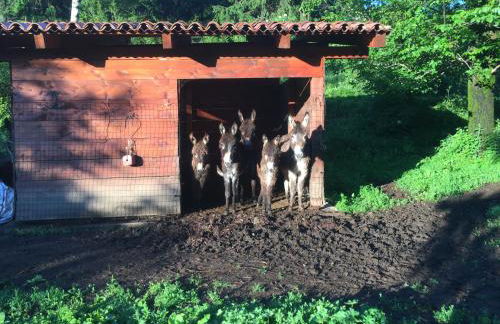 Anna Apartments - Foto 57