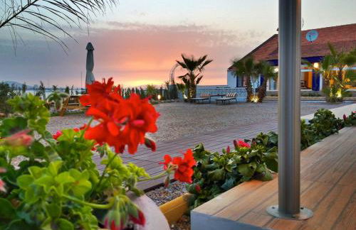 El Vivero del Mar Menor - Foto 26