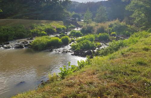 Wohnen im Springerhof - Foto 56