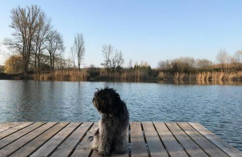 Ferienwohnung Moneblümchen - Foto 24