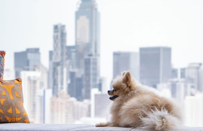 APTO Hotel HV (Causeway Bay) - Photo 2