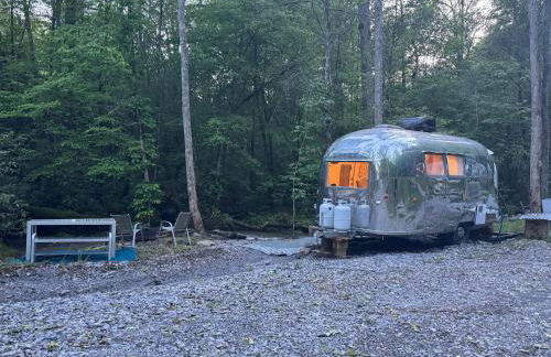 Streamside ShinyTiny Airstream in the Smokies - Foto 35