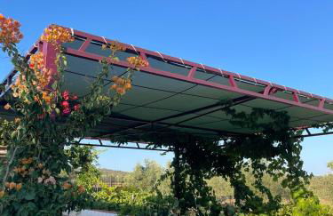 Casas da Serra d'Ossa - Casa do Pomar - Foto 1