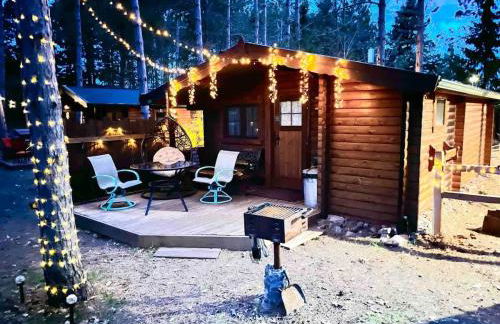 Lakeshore Lily Pad - Foto 1