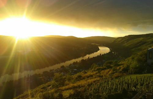 Apartment an der Mosel 1 - Foto 1