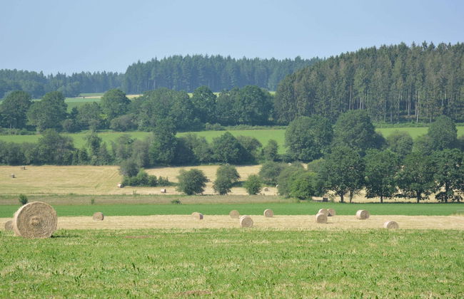 Holiday Home in Daverdisse With Garden - Photo 19