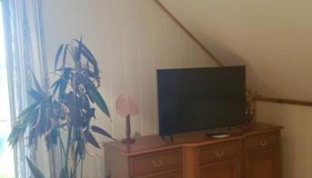 Blick zum See - Foto 4