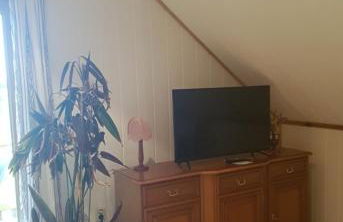 Blick zum See - Foto 4