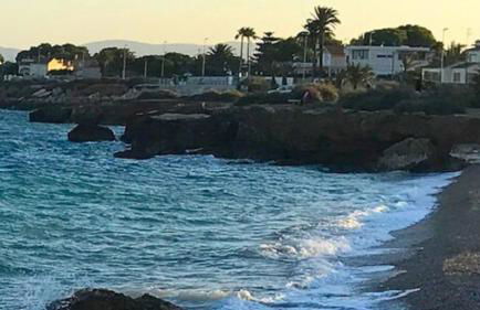 Las tres palmeras - Foto 8