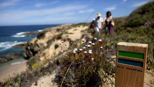 Taipa 2 - Casas de Campo do Junqueirinho - Foto 2