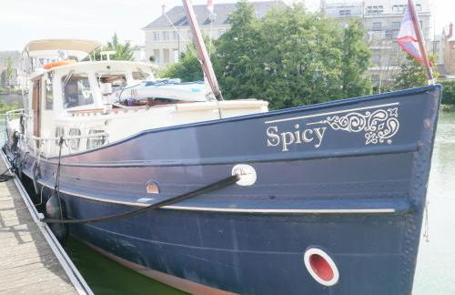 Spicy - Séjour insolite sur la Marne - Foto 11