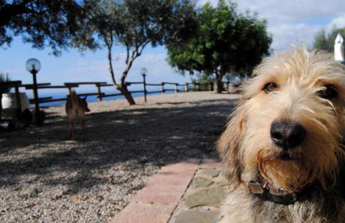 Casale Santa Rosalia Charme Villas and Rooms - Foto 54