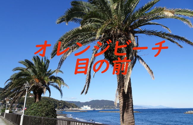 Condominium MOANA - Foto 33