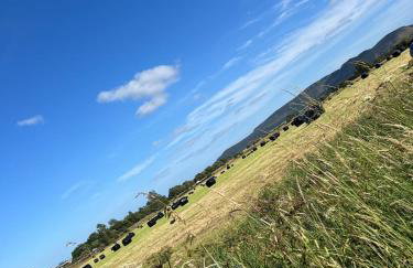 Gellyburn Cottage a Modern Farm Cottage with Countryside Views - Foto 60