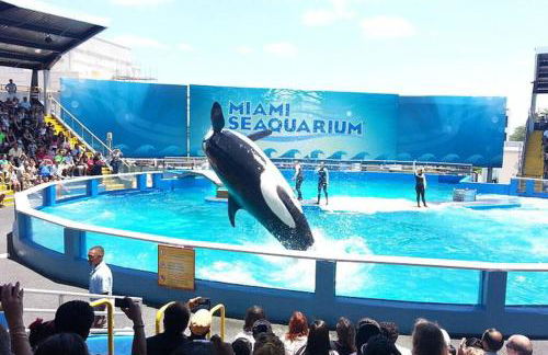 My lovely home in Miami 15 minutes from the Beach - Foto 50