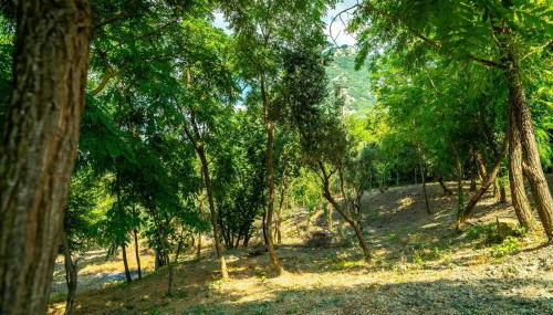 Villa Romantica con Bosco sulla Strada dei Vini - Photo 5, Garden, Garden view