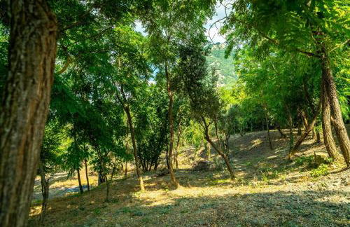 Villa Romantica con Bosco sulla Strada dei Vini - Photo 5