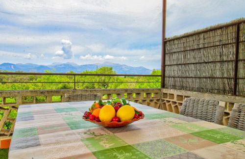 Finca Can Tiro - Foto 9