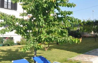 Apartments Rosa - Foto 35