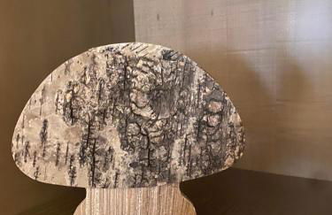 Casa Dolce Courmayeur - Foto 28