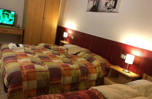 Agriturismo il Podere Vedelago con San Bernardo, Alpaca e una Pentola di cose da scoprire - Foto 10