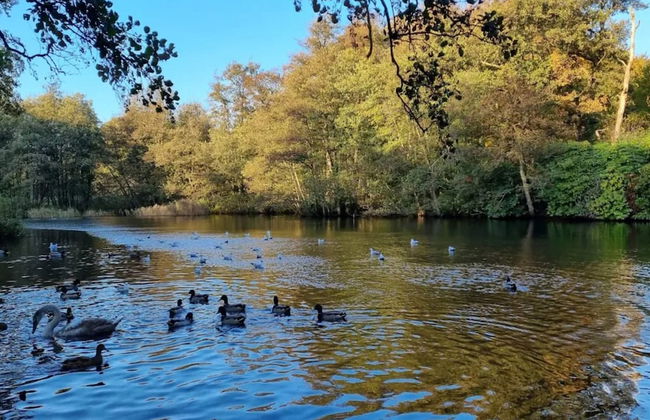 6 Person Holiday Home in Brenderup Fyn - Photo 38