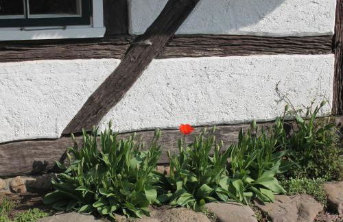 Ferienwohnung in Reddelich for 4 Personen - Foto 37