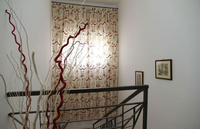 La Mimosa - Photo 41