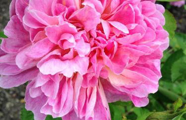 Hewletts Mill - Foto 46